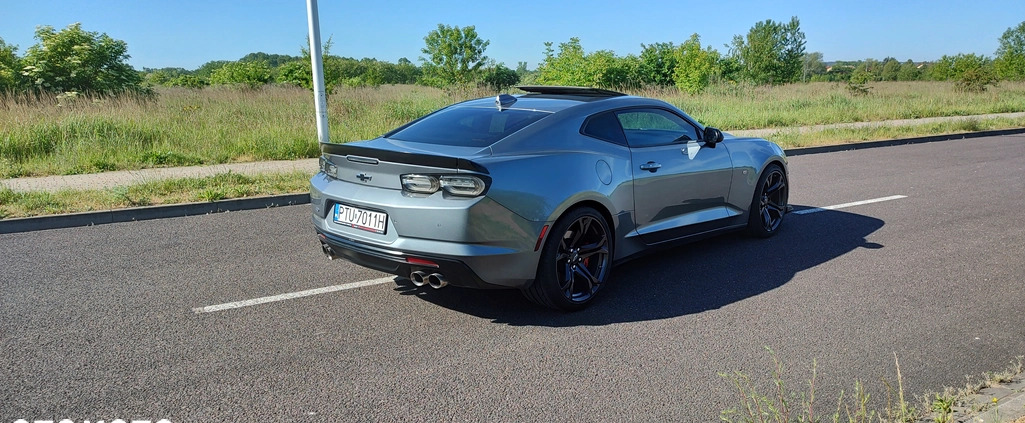 Chevrolet Camaro cena 185000 przebieg: 22700, rok produkcji 2021 z Turek małe 56